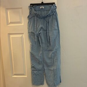 Thread & Supply Sky Blue Casual Pants